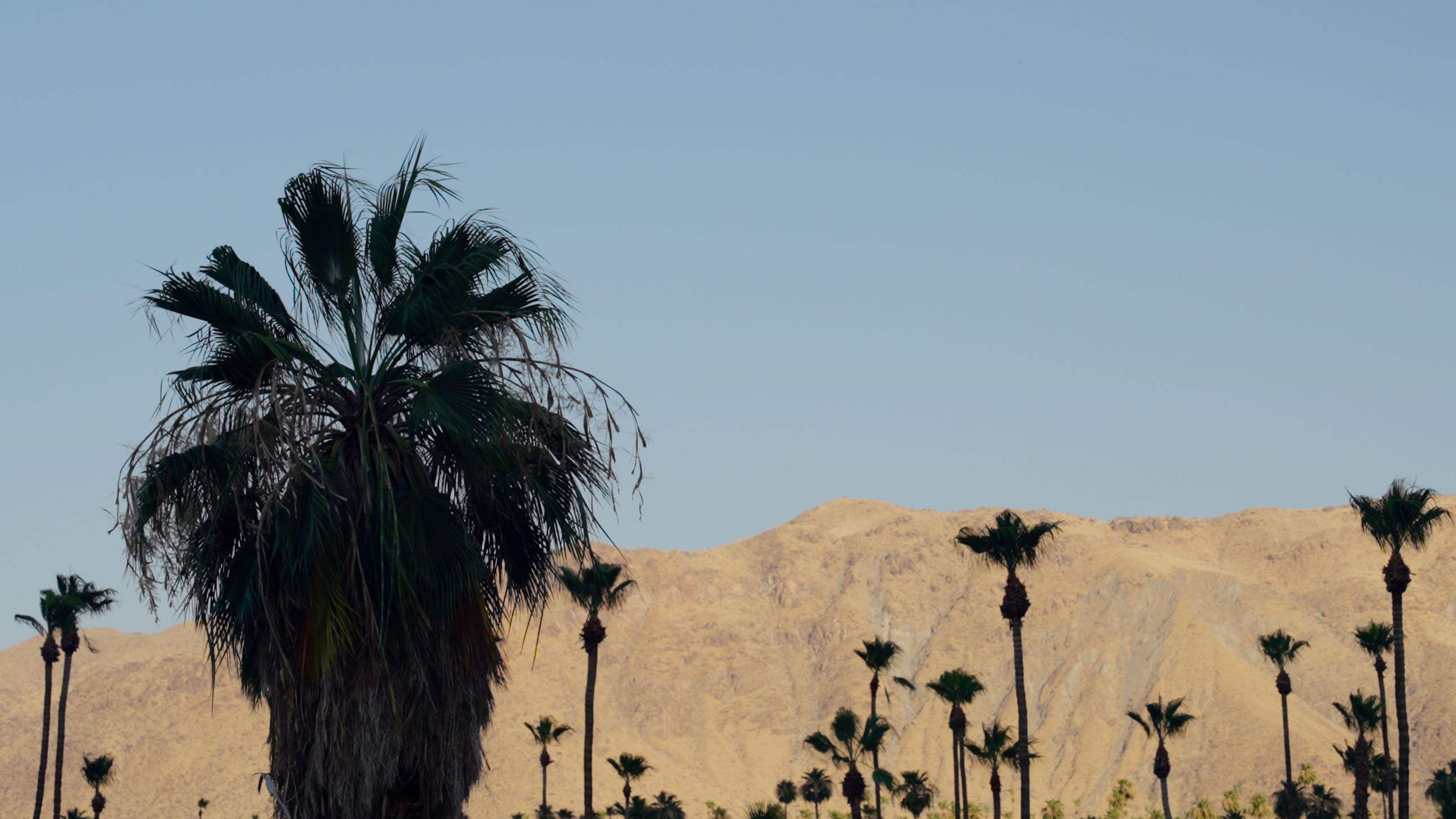 Royal Sun Palm Springs Hotel Exterior foto
